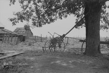 A sharecropper's yard, Hale County, Alabama, 1936. Creator: Walker Evans