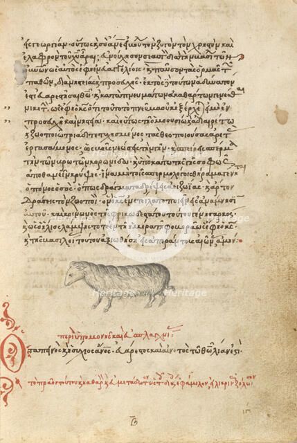 A Sheep, 1510-1520. Creator: Unknown.