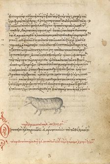 A Sheep, 1510-1520. Creator: Unknown