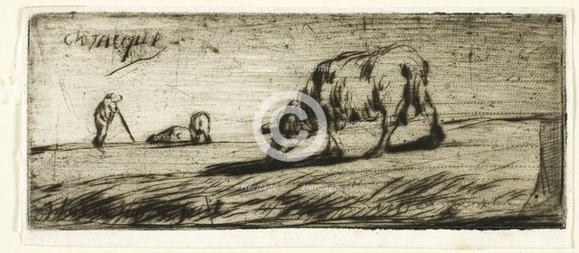 A Sheep Grazing, 1849. Creator: Jean Francois Millet.
