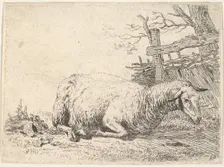 A sheep lying with its legs folded underneath its body next to a wooden fence, the she..., ca. 1655. Creator: Karel Du Jardin