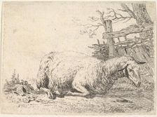 A sheep lying with its legs folded underneath its body next to a wooden fence, the she..., ca. 1655. Creator: Karel Du Jardin