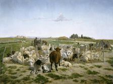 A sheep pen near the Puerta de Bilbao in Madrid, 1862. Creator: Mariano de la Roca y Delgado