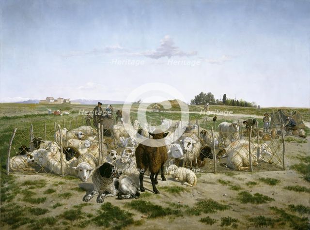 A sheep pen near the Puerta de Bilbao in Madrid, 1862. Creator: Mariano de la Roca y Delgado.