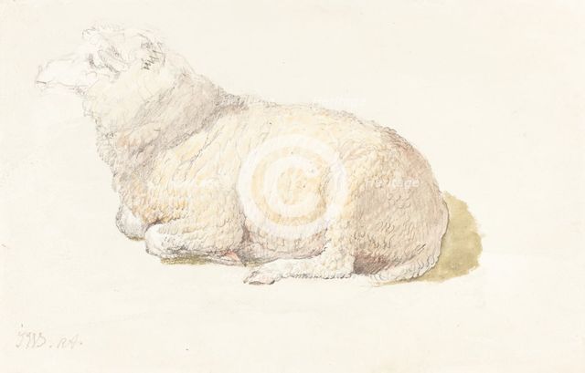 A Sheep Resting, c. 1800/1810. Creator: James Ward.