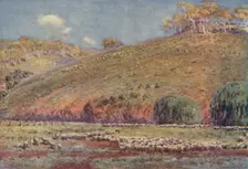 A Sheep-Run 1923. Creator: Unknown
