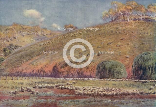 'A Sheep-Run', 1923. Creator: Unknown.