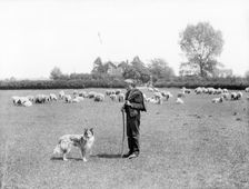 A shepherd and his dog, 1901 Artist: Henry Taunt