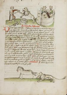 A Shepherd Protecting his Flock from a Lion and a Shepherd and..., third quarter of 15th century. Creator: Unknown
