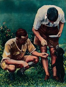 A Singapore Mascot of the RAF, 1940