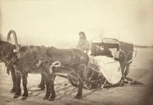 A Siberian posting sledge on a cold morning, between 1885 and 1886. Creator: George Albert Frost