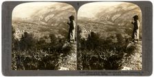 A silkworm plantation in the Lebanon mountains, Syria, 1900s.Artist: Underwood & Underwood