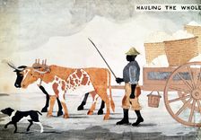 A slave with an ox-cart containing the week's cotton pickings, New Orleans, USA. Artist: Anon