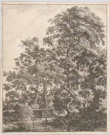 A Small Bridge over a Stream, 17th century. Creator: Anthonie Waterloo