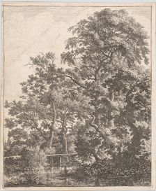 A Small Bridge over a Stream, 17th century. Creator: Anthonie Waterloo