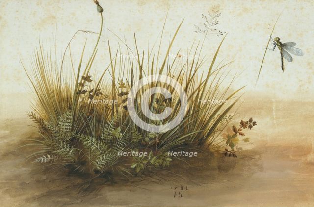 A Small Piece of Turf, 1584. Creator: Hans Hoffmann.