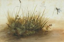 A Small Piece of Turf, 1584. Creator: Hans Hoffmann