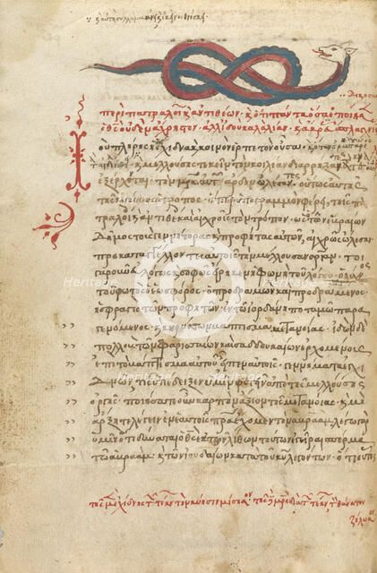 A Snake, 1510-1520. Creator: Unknown.