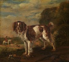 A spaniel, 1653. Creator: Paulus Potter