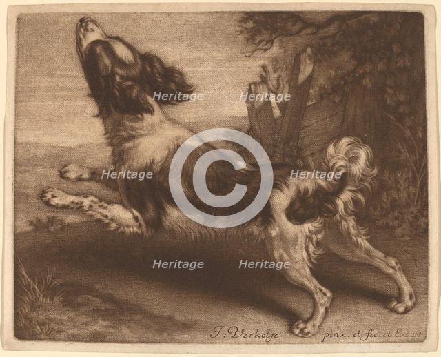 A Spaniel Jumping, 1680. Creator: Jan Verkolje.