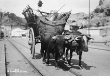 A Spanish scene 20th century