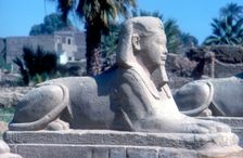 A sphinx from the avenue of Sphinxes, Temple sacred to Amun Mut & Khons, Luxor, Egypt, c370 BC