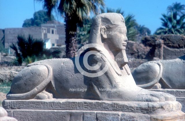 A sphinx from the avenue of Sphinxes, Temple sacred to Amun Mut & Khons, Luxor, Egypt, c370 BC. Artist: Unknown