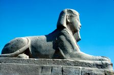 A sphinx from the avenue of Sphinxes, Temple sacred to Amun Mut & Khons, Luxor, Egypt, c370 BC