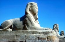 A sphinx from the avenue of Sphinxes, Temple sacred to Amun Mut & Khons, Luxor, Egypt, c370 BC