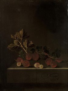 A Sprig of Gooseberries on a Stone Plinth, 1699. Creator: Adriaen Coorte
