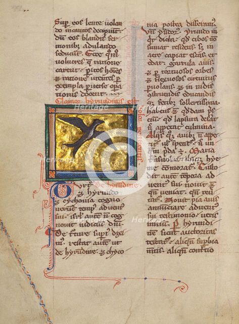 A Swallow; Bestiary, about 1270. Creator: Unknown.