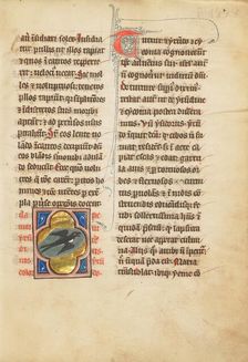 A Swallow; De Natura Avium; De Pastoribus et Ovibus; Bestiarium, 1277 or after. Creator: Unknown
