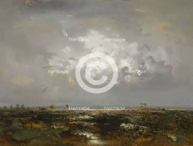 A Swamp in the Landes, after 1844. Creator: Theodore Rousseau.