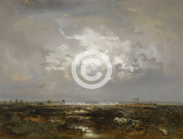 A Swamp in the Landes, after 1844. Creator: Theodore Rousseau.