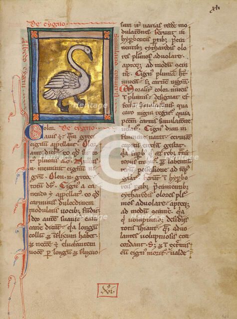 A Swan; Bestiary, about 1270. Creator: Unknown.