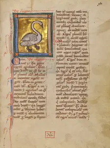 A Swan; Bestiary, about 1270. Creator: Unknown