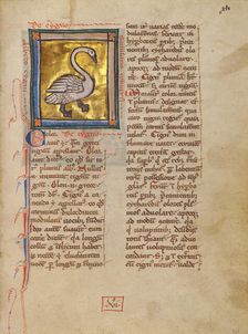A Swan; Bestiary, about 1270. Creator: Unknown