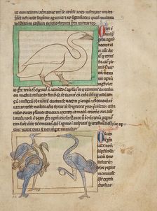 A Swan; Cranes; Northumberland Bestiary, about 1250-1260. Creator: Unknown