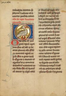 A Swan; De Natura Avium; De Pastoribus et Ovibus, 1277 or after. Creator: Unknown