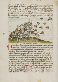 A Swarm of Insects Flying above a Group of Animals; Fables, third quarter of 15th century. Creator: Unknown