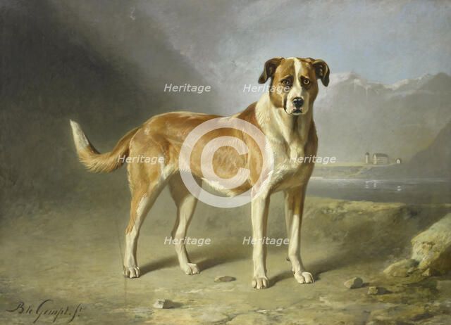 A St Bernard Dog, c.1850-c.1879. Creator: Bernard te Gempt.