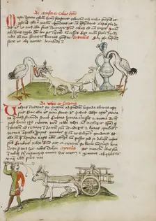 A Stork with its Head in a Vessel and a Fox Nearby: A Stork..., third quarter of 15th century. Creator: Unknown