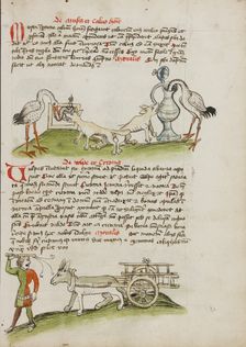 A Stork with its Head in a Vessel and a Fox Nearby: A Stork..., third quarter of 15th century. Creator: Unknown
