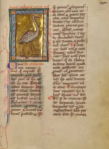 A Stork; Bestiary, about 1270. Creator: Unknown