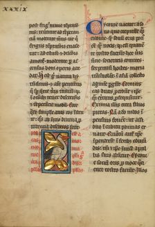 A Stork; De Natura Avium; De Pastoribus et Ovibus, On the Soul, 1277 or after. Creator: Unknown