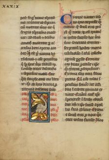 A Stork; De Natura Avium; De Pastoribus et Ovibus, On the Soul, 1277 or after. Creator: Unknown