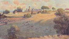 A "Station" Homestead 1923. Creator: Unknown