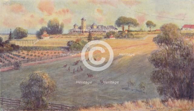 'A "Station" Homestead', 1923. Creator: Unknown.