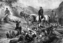 "A Stag at Bay on Exmoor Forest", by S. Carter, 1871. Creator: J Greenaway