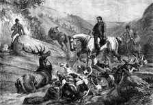 "A Stag at Bay on Exmoor Forest", by S. Carter, 1871. Creator: J Greenaway